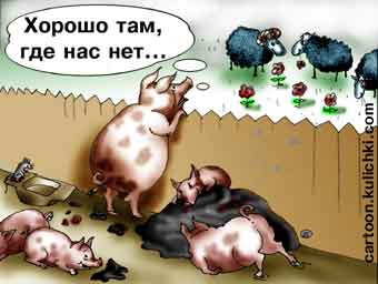 И.И. Мельников о заявлениях «Единой России»:  Волк в поисках овечьей шкуры
