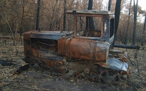 В.А.Стародубцев: Вступление России в ВТО добьёт агропромышленный комплекс страны