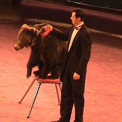 Пусть подскакивают «медведи»! В.Ф. Рашкин объяснил, почему коммунисты в Госдуме остались сидеть на своих местах при появлении Путина