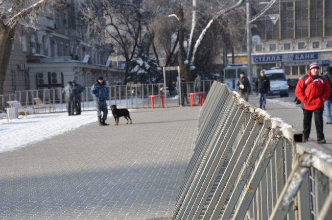 «Решеточная демократия»: Митинг в Ростове-на-Дону