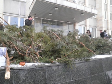 «Прощание с погубленным лесом». Митинг граждан в Жуковском Московской области 