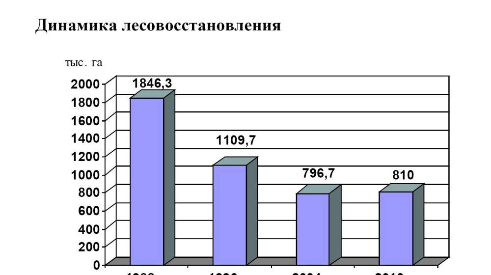 В.И. Кашин: Необходима новая лесная политика государства  