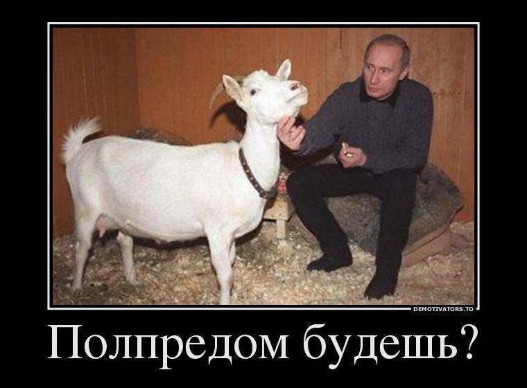 Анатолий Локоть о назначении полпреда УФО: "Неважно, что ты умеешь делать, важно, что ты умеешь проявлять свои верноподданнические чувства"