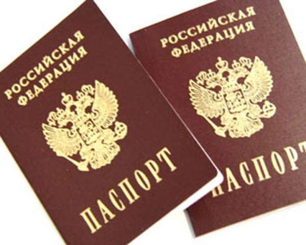 Сын филолога Медведев против возвращения «пятой графы» в паспорт