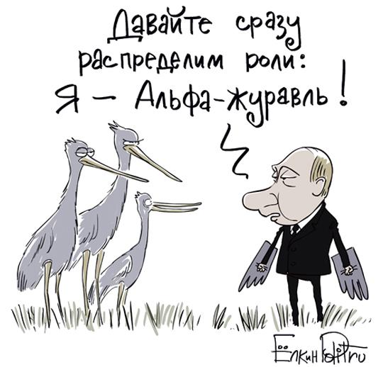 Чтобы аисты летели следом за дельтапланом Путина, их в нужном направлении гнали два истребителя. Новая подборка анекдотов от Ивана Никитчука