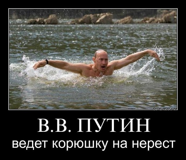 Cprfspb.ru: И журавлей - в полет, и корюшку - на нарест?