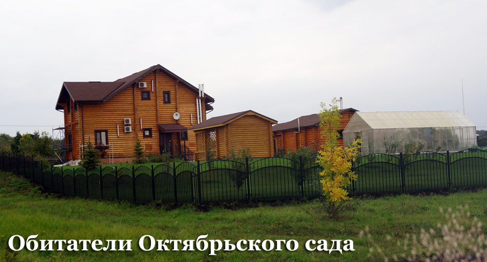 Пензенские коммунисты против вырубки городских лесов и парков