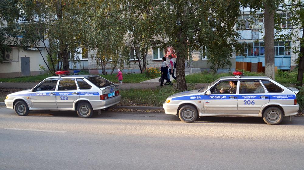 Пензенские коммунисты выступили за восстановление парка Ульяновых