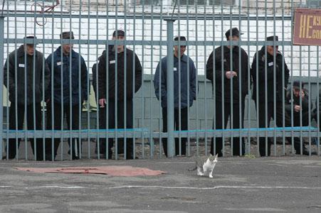 В.Ф. Рашкин: «Предлагаю для чиновников организовать экскурсии в исправительные учреждения»