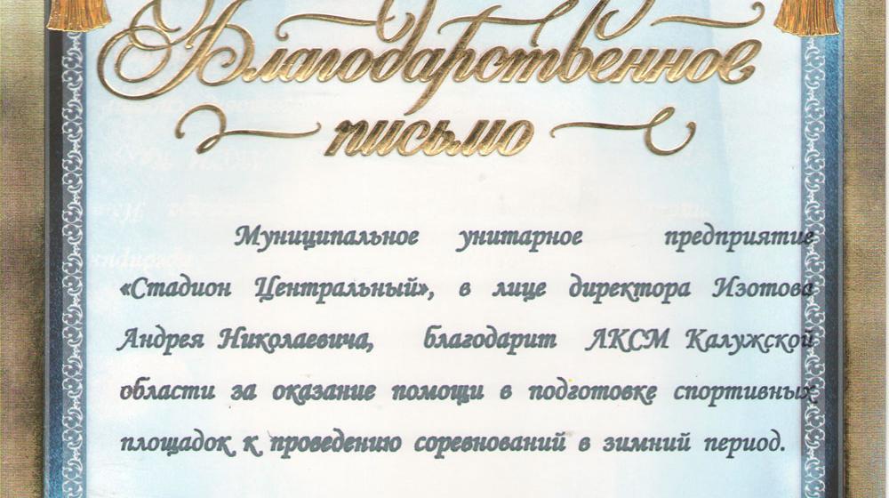 Калуга. Комсомольцы провели субботник по очистке центрального стадиона от снега 