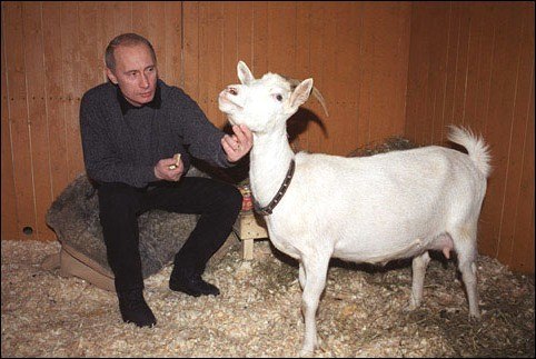 Независимый экономист Владислав Жуковский: Путин дал очередной шанс либералам
