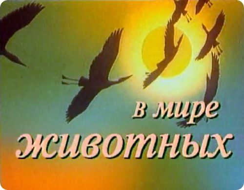 Г.А. Зюганов поздравил сотрудников и телезрителей программы «В мире животных» с юбилеем любимой передачи