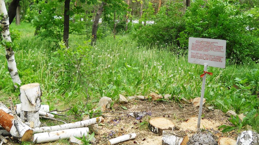 Алевтина Апарина: «Виновные в ситуации с агашинской березкой должны быть найдены и наказаны!»