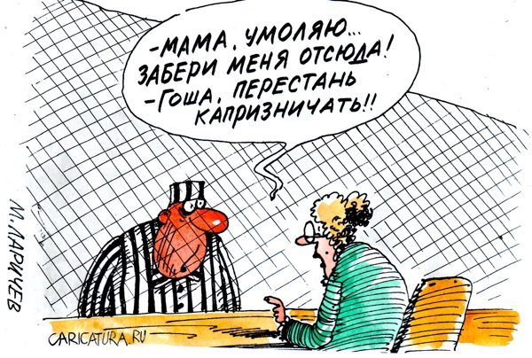 Не пустим криминал во власть! Сами справимся… Подборка политических анекдотов от И.И. Никитчука