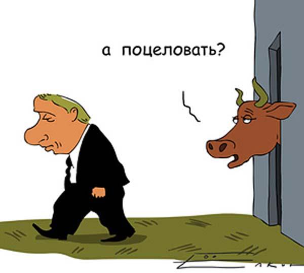 Глядя в печальные глаза коровы, понимаешь, что в России после вступления в ВТО ожидает тех, кто дает стране молоко и мясо… Подборка политических анекдотов от И.И. Никитчука