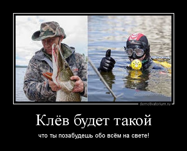 "Захотел, как Путин, поймать щуку..." Политические анекдоты от И.И. Никитчука
