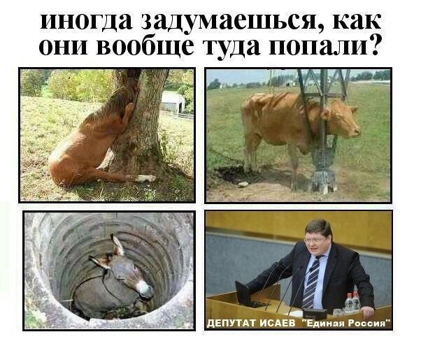 "С помощниками не пью!". Единоросс Исаев придумал прикольный способ сбежать из руководства обанкротившейся "медвежьей" партии