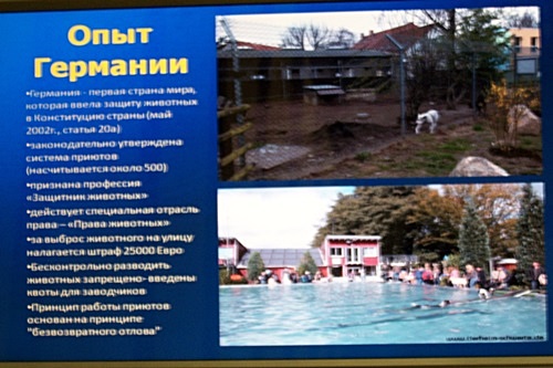 Коммунисты Татарстана на круглом столе обсудили вопросы регулирования правил содержания домашних животных