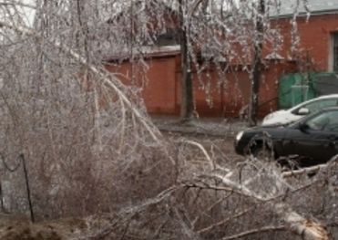 Депутаты Госдумы от КПРФ просят от СКР дать процессуальную оценку  действиям властей Краснодара в период «ледяного дождя». Халатность и неэффективность мэра привели к гибели людей, десяткам тысяч травмированных, ущербу в 538 млн. руб 