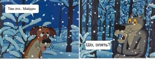 «Участники майдана, будучи недовольны последствиями майдана, вышли на майдан». Новые политические анекдоты от Ивана Никитчука