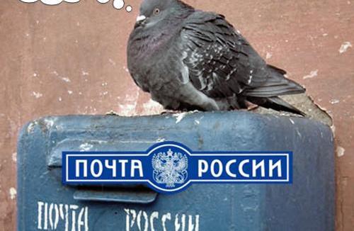 В.С. Шурчанов: «После принятия этого законопроекта почтовые услуги станут существенно дороже и не везде будут доступны»