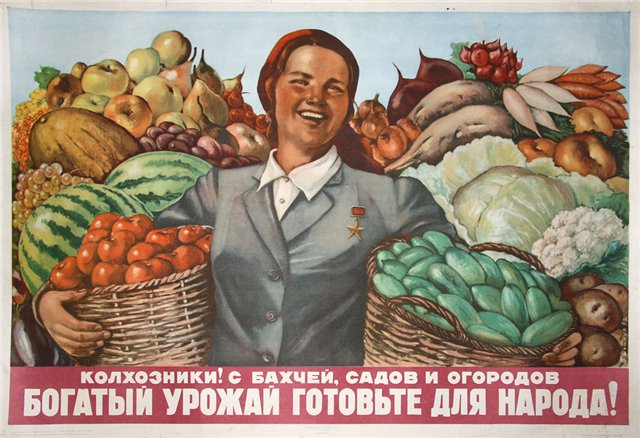В.И. Кашин: Только реальные дела изменят ситуацию на селе