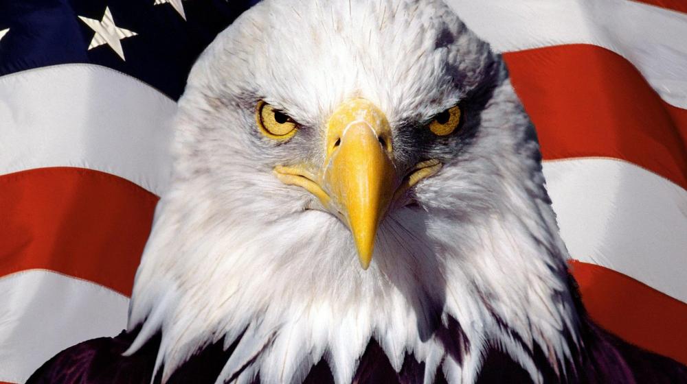 Американец написал книгу о том, как США финансировали майдан
