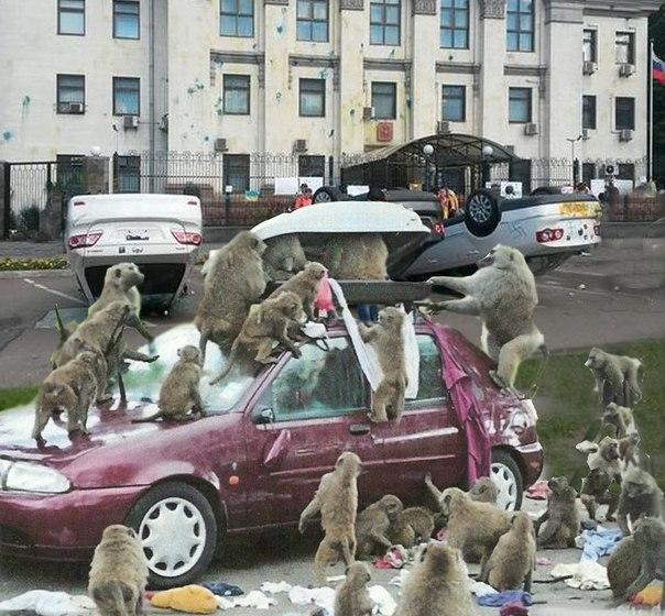 Шабаш у российского посольства в Киеве: попытка спровоцировать Россию? 