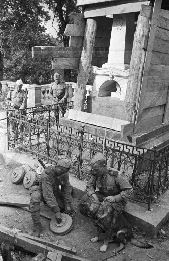 Псковская область. Открыт мемориал саперам, погибшим при разминировании могилы А.С. Пушкина и Святогорского монатыря