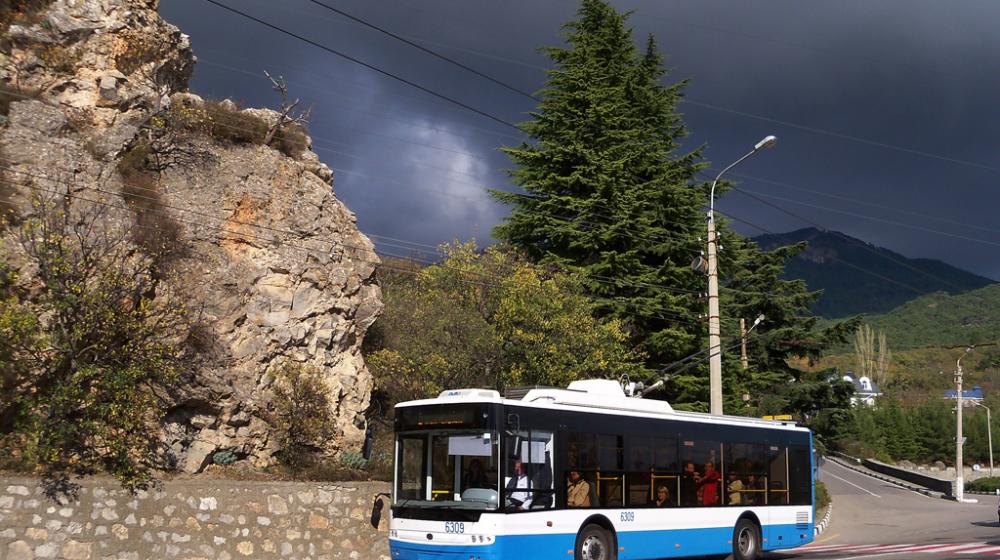 Будет ли решена транспортная проблема в Крыму? Министр транспорта ответил на вопрос Н.В. Коломейцева