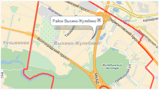 Митинг против строительства транспортно-пересадочного узла в районе Выхино-Жулебино (ЮВАО Москвы)