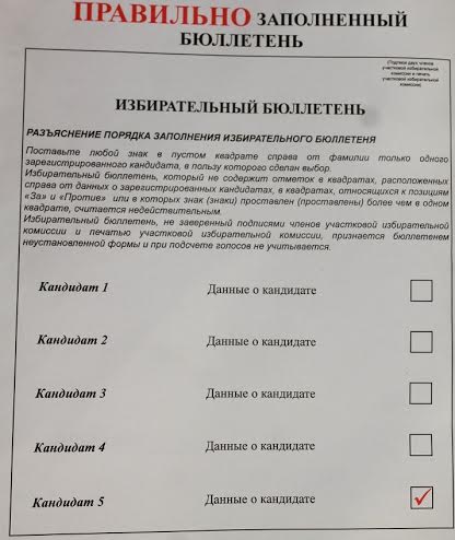 Псковская область. В образцах избирательных бюллетеней содержится агитация за кандидата власти