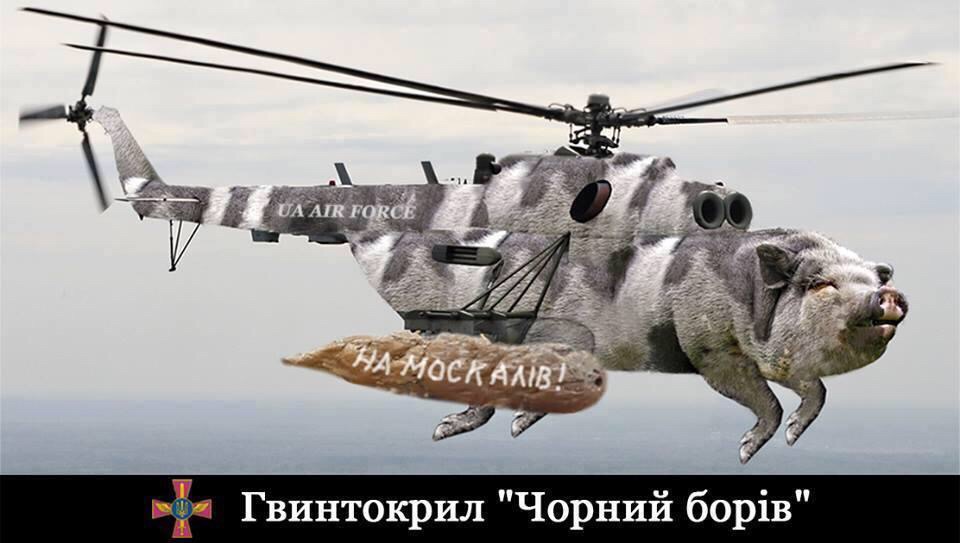 Новости с родины Овидия