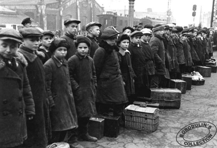 «Поддержать законопроект «О детях войны»!». Н.В. Коломейцев выступил на заседании комитета Госдумы по труду, социальной политике и делам ветеранов