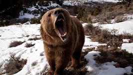 Город Кимры – страсти накаляются!