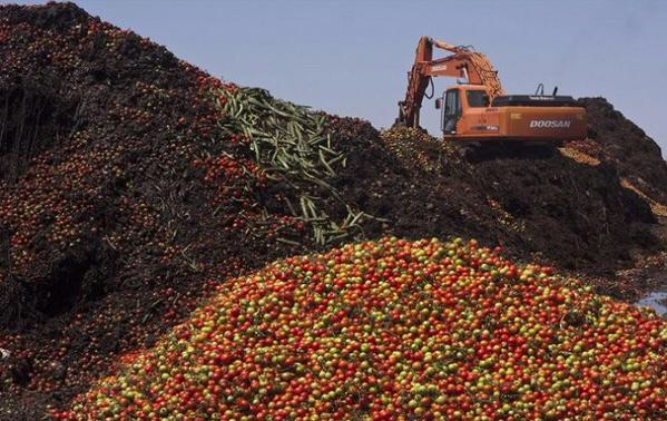 "Известия": КПРФ предлагает накормить санкционными продуктами неимущих. Законопроект Г.А. Зюганова, И.И. Мельникова, С.П. Обухова 