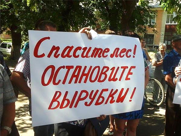 Защитим алтайский лес от варварских рубок! В 10 городах, 38 райцентрах, десятках малых сел края прошли протестные акции