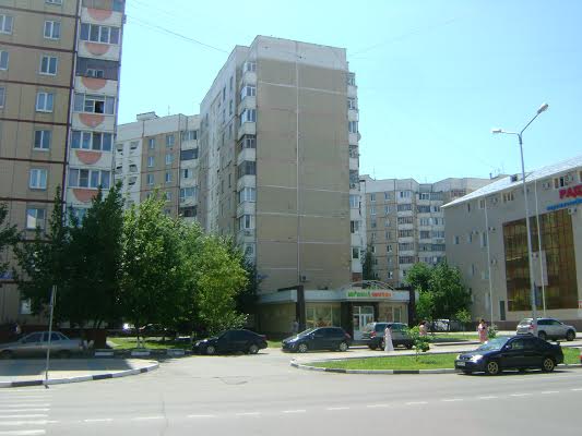 Выборы в Белгородскую областную Думу начинаются с громких преступлений