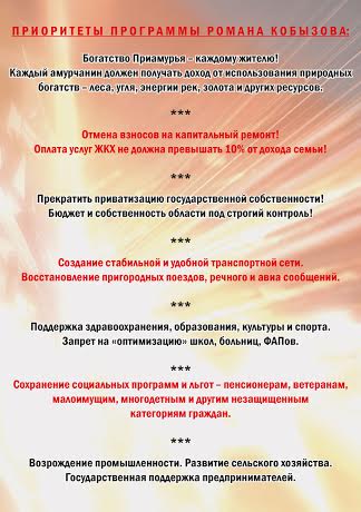 Амурская область. Приоритеты программы Романа Кобызова