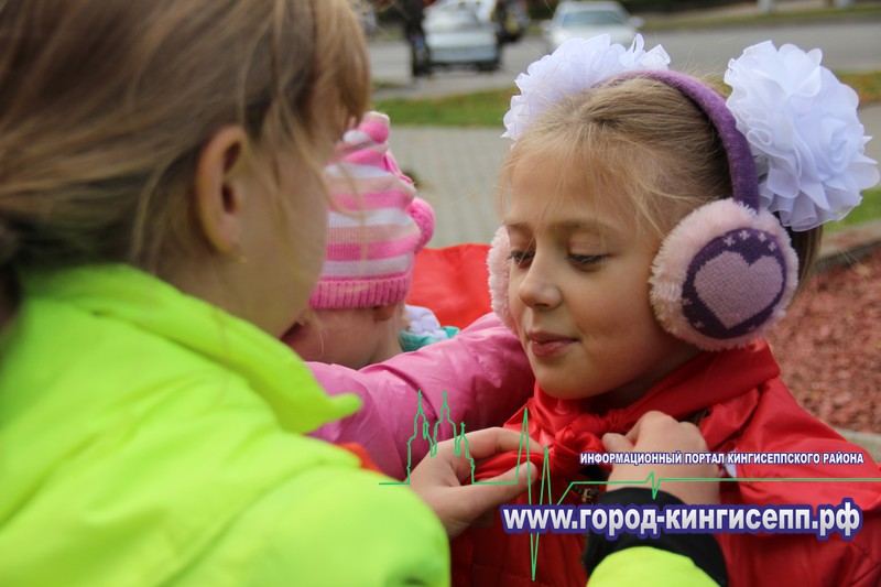 Ленинградская область. Полку кингисеппских пионеров прибыло!