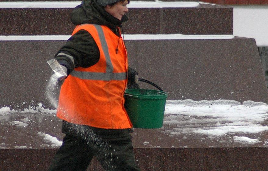 Президентский совет по правам человека (СПЧ) поддержал законопроект О.А. Лебедева о запрете использования противогололедных реагентов на тротуарах в России 