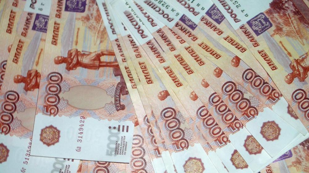 Думская фракция КПРФ просит Счетную палату проверить антикризисный план правительства