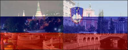 Иван Мельников встретился  с парламентской делегацией Словении