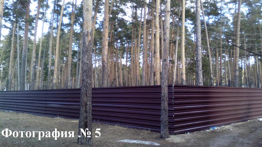 В Тамбовской области планомерно уничтожают Пригородный лес