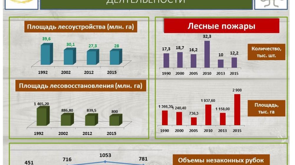 В.И. Кашин: «Комплексное освоение лесов: проблемы, задачи, пути решения» 