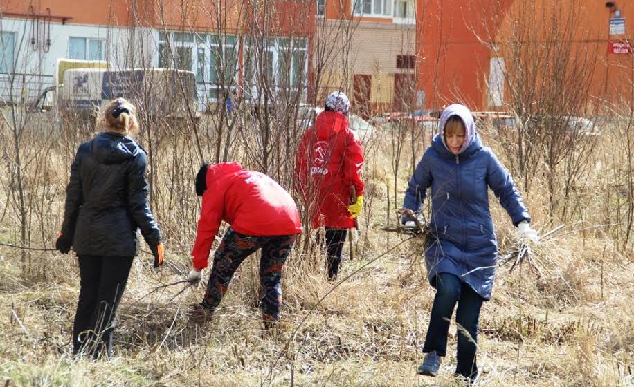 Новгородские коммунисты вышли на субботник вместе с жителями "Лугового"