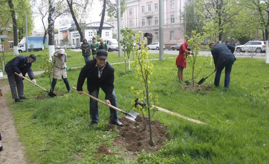 Ярославские коммунисты приняли участие в восстановлении аллеи памяти