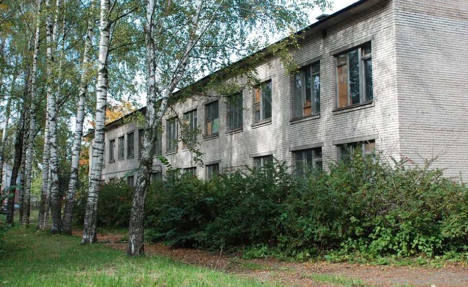 Ленинградская область, Тосненский район. Участники митинга в поселке Тельмана: Детям нужен детский сад!