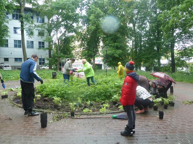 Денис Вороненков сделал нижегородцам цветочный подарок