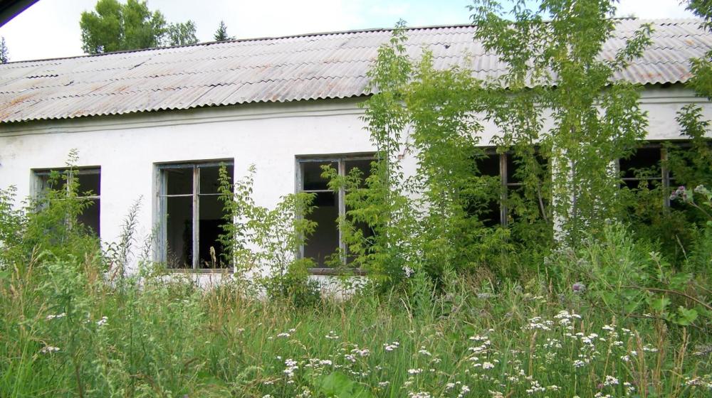 «Оптимизация» образования в Алтайском крае 